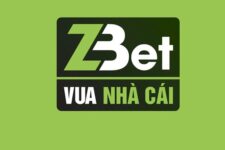 ZBET – Tìm Hiểu Nhà Cái ZBET.Win Uy Tín Nhất