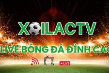 Xem Bóng Đá Trực Tiếp Tại Xoilac – Trang Web Hàng Đầu Việt Nam