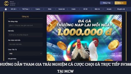 Chọi Gà Trực Tiếp SV388 – Lựa Chọn Cá Cược Uy Tín Tại MCW